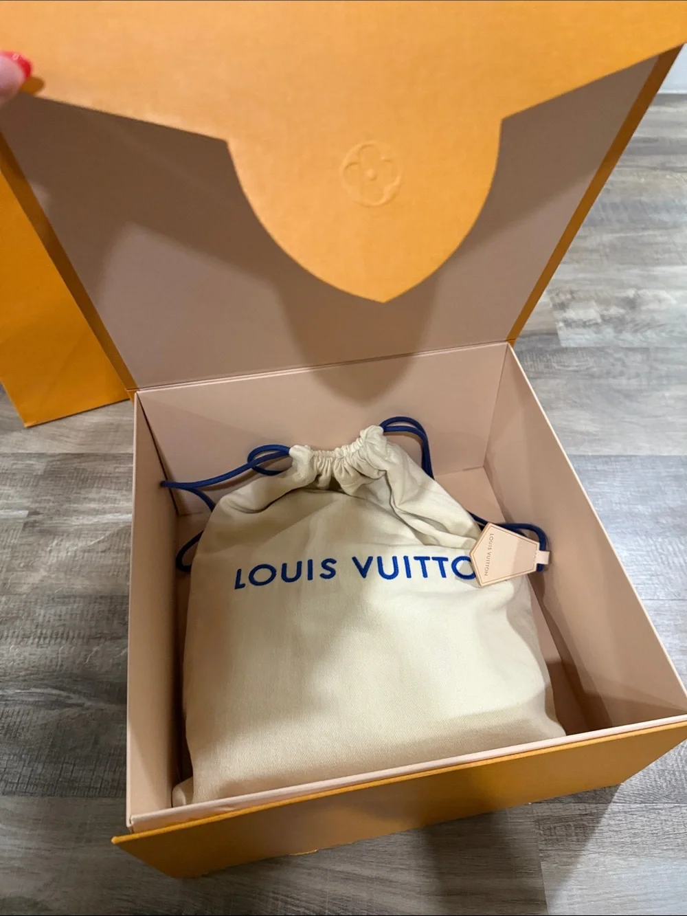 Louis Vuitton Capucines Mini Bag Exotic Ostrich in Mint Green